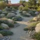 California rock garden with natural stones and low-growing plants